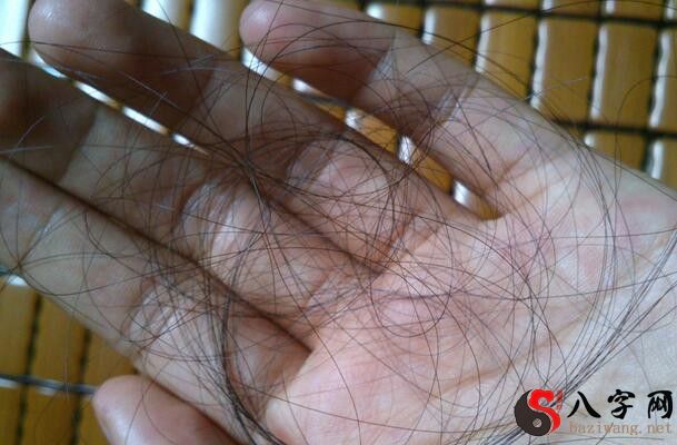 梦见别人掉头发一缕